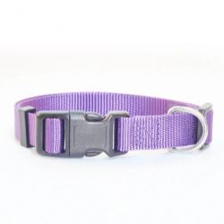 Collier pour chien réglable en nylon - violet