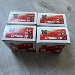 Lot de 100 mary arm cyrano a 1