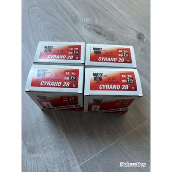 Lot de 100 mary arm cyrano a 1