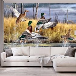 Decoration murale ( 290 x 240 cm) papier peint photo, nature, automne, lac, chasse, canards