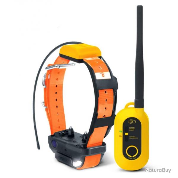 Collier GPS et dressage Dogtra PATHFINDER2 - Moyen/Grand