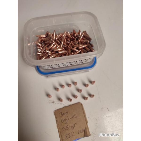 ogives Hornady 22 .224 55gr FMJ BT