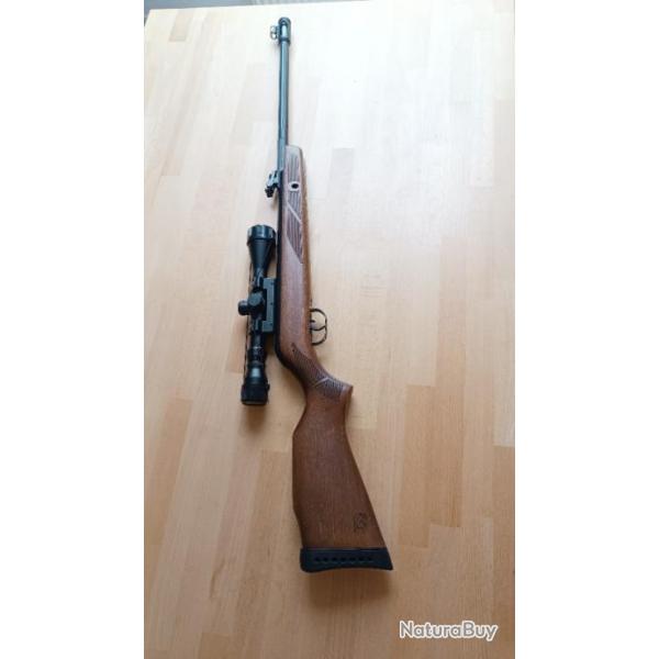 Carabine Gamo 440 as