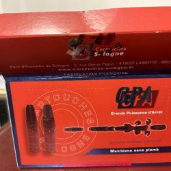 BALLES SOLOGNE GPA 238 gr 15,5 g   9,3 X 74 R