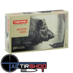 Munition Norma PPDC Plastic Point 30-06 Springfield 11.7g/180gr boite de 20