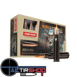 Munition Norma Tipstrike Silencer 308 Win 11 g / 170gr boite de 20