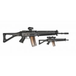 Sig 551 cal 223 rem sans dioptre