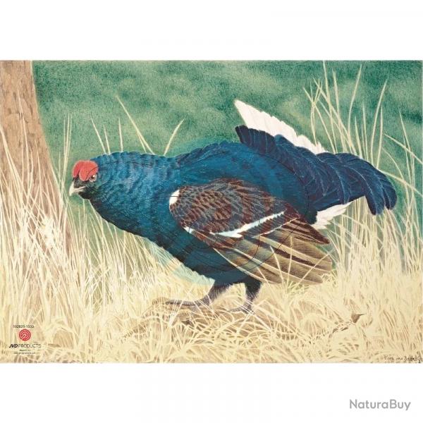 Blason Animalier JVD Blue-Grouse