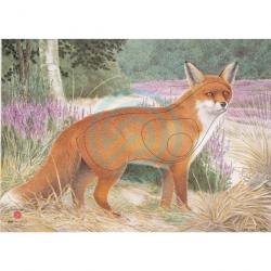 Blason Animalier JVD Fox