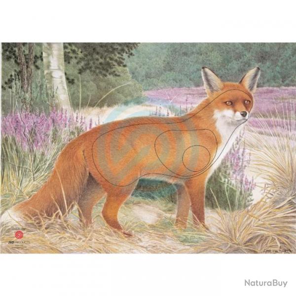 Blason Animalier JVD Fox