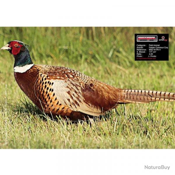 Blason Animalier Maximal Small Animals 25X35 Pheasant