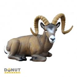 Cible 3D SRT Mouflon des montages couché - Groupe 1