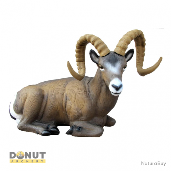 Cible 3D SRT Mouflon des montages couch - Groupe 1