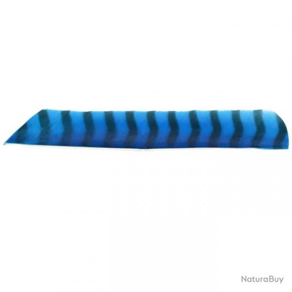 Plume Naturelle Gateway Entiere - Droite / 10 Pouces / Bleu tigre