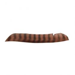 Plume Naturelle Gateway Entiere - Droite / 10 Pouces / Marron tigre