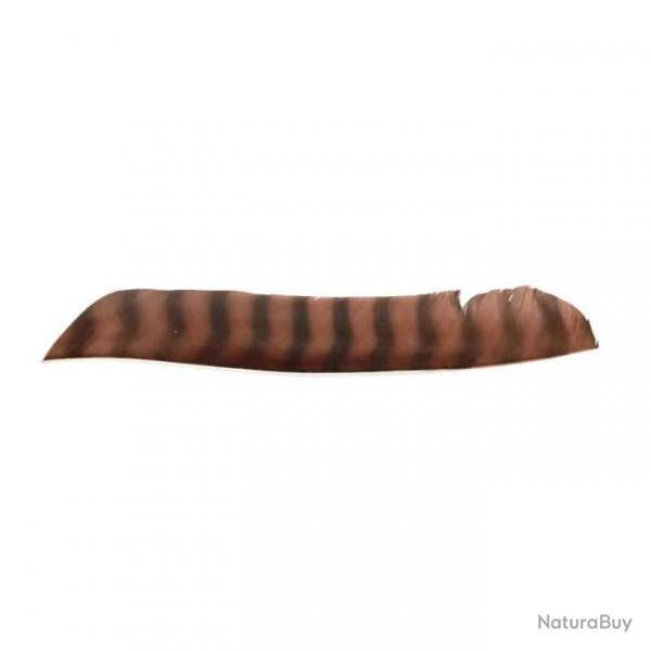 Plume Naturelle Gateway Entiere - Droite / 10 Pouces / Marron tigre