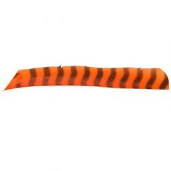 Plume Naturelle Gateway Entiere - Droite / 10 Pouces / Orange tigre