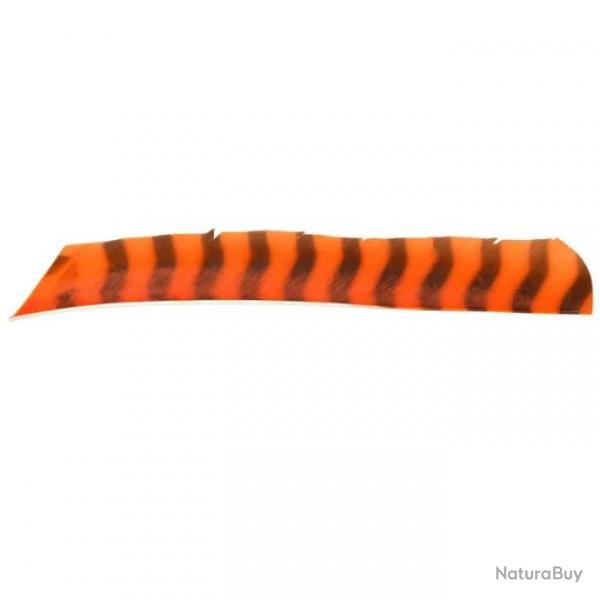 Plume Naturelle Gateway Entiere - Droite / 10 Pouces / Orange tigre