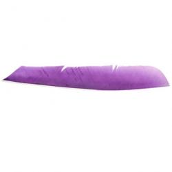 Plume Naturelle Gateway Entiere - Droite / 10 Pouces / Violet