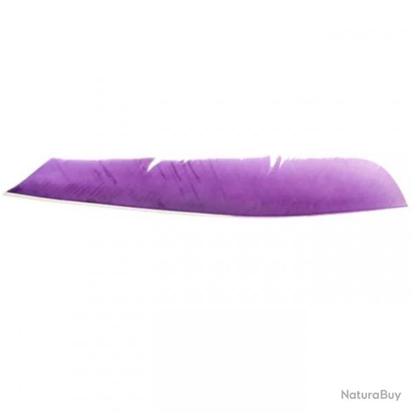 Plume Naturelle Gateway Entiere - Droite / 10 Pouces / Violet