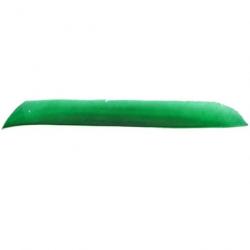 Plume Naturelle Gateway Entiere - Droite / 10 Pouces / Vert