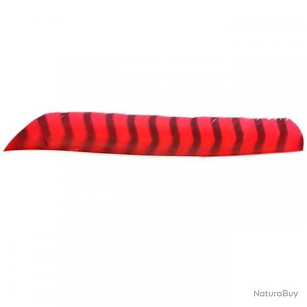 Plume Naturelle Gateway Entiere - Gauche / 10 Pouces / Rouge tigre