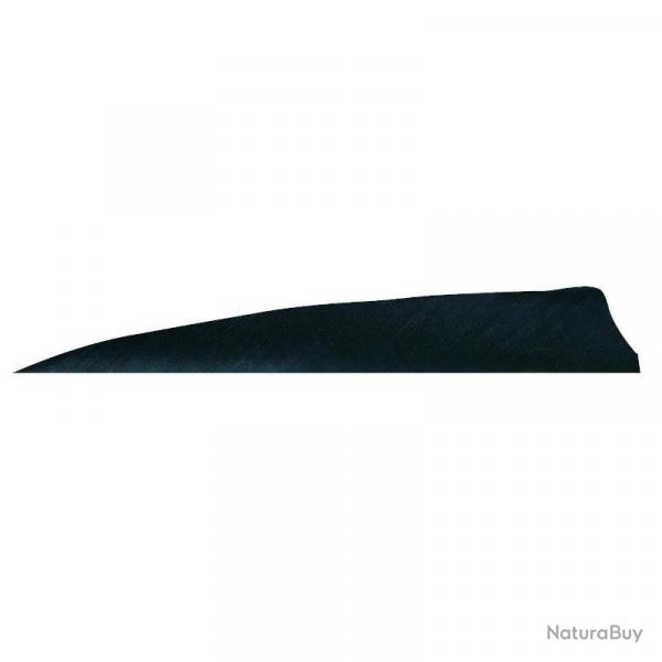 Plume de flche Naturelle Gateway Shield - 3 Pouces / Noir