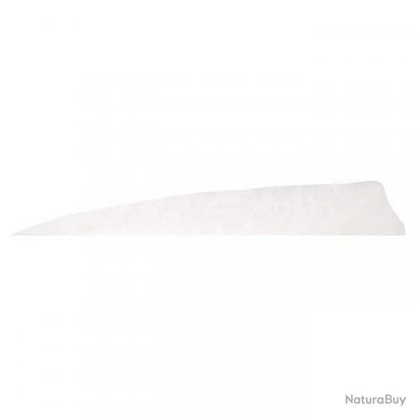 Plume Naturelle Gateway Shield - 3 Pouces / Blanc