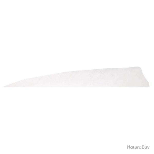 Plume de flche Naturelle Gateway Shield - 4 Pouces / Blanc