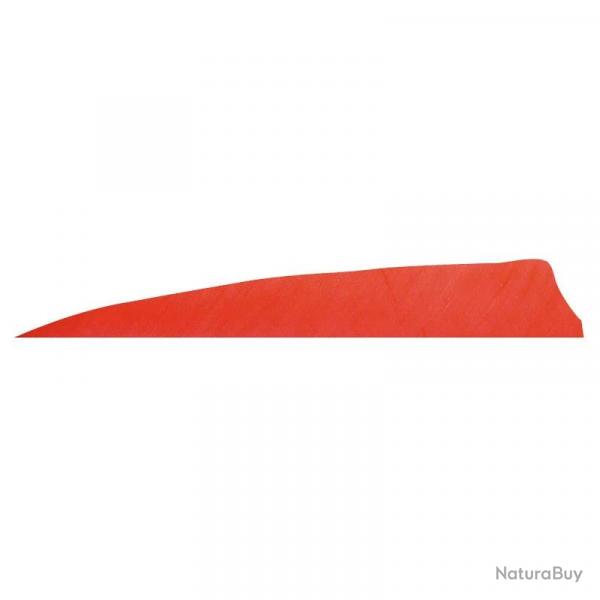 Plume de flche Naturelle Gateway Shield - 5 Pouces / Rouge