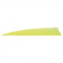 Plume de flèche Naturelle Gateway Shield - 5 Pouces / Jaune fluo