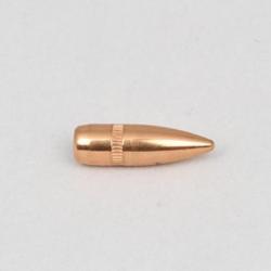Ogives Cam Pro 223 55gr FMJ BT - lot de 500