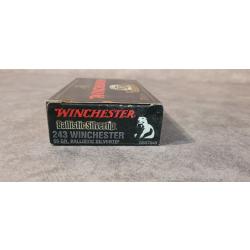 Winchester ballistic silvertip 243W 55gr