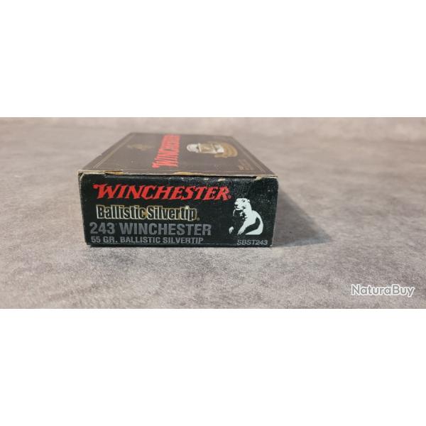 Winchester ballistic silvertip 243W 55gr