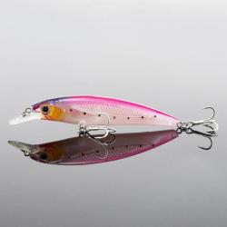 Leurre Reef Ruler Minnow Crank Wobbler 11 cm - DLA3