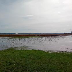 GABION BAIE DE SEINE