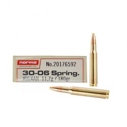 NORMA 30-06 Spring. pointe plastique 180gr x20