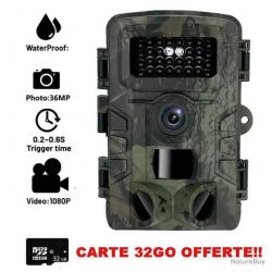 CAMÉRA DE CHASSE AVEC ÉCRAN LCD - PIÈGE PHOTOS INFRAROUGE - IP54 - LIVRAISON GRATUITE