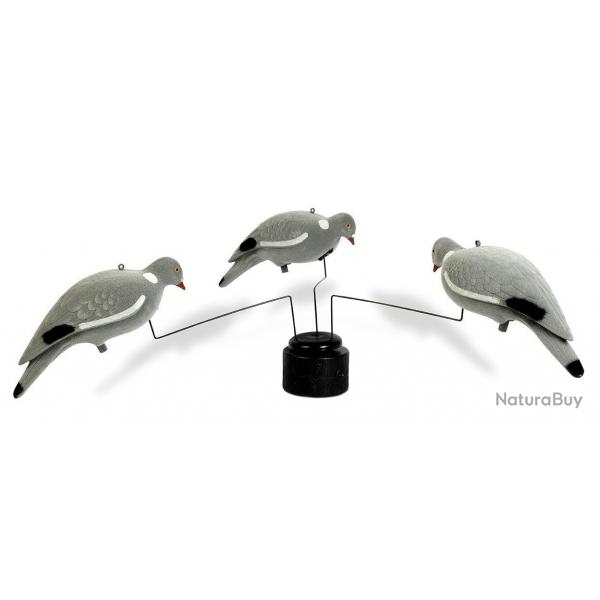 Mange lectrique 3 pigeons