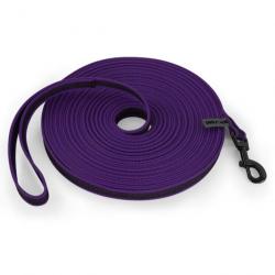 Laisse pour chien en nylon 3 mètres - Violette