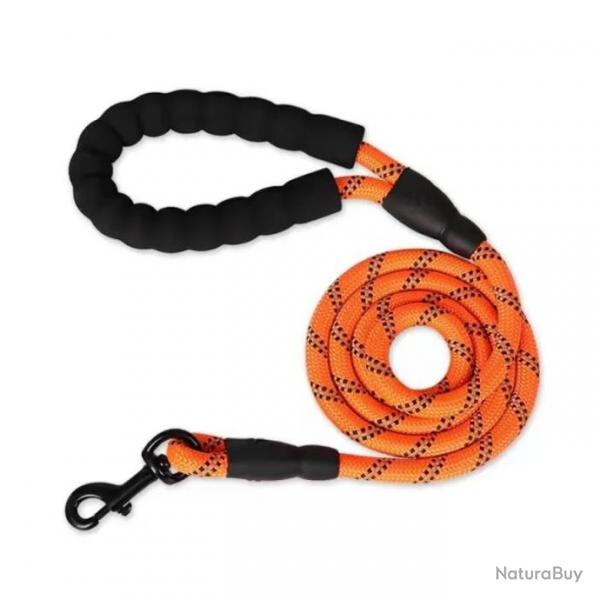 Laisse pour chien en nylon 1.2cm x 1.5M - LIVRAISON GRATUITE - Orange