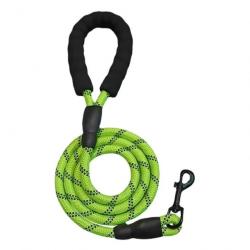 Laisse pour chien en nylon 1.2cm x 3M - LIVRAISON GRATUITE - Verte