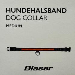 Collier chien blaser lumineux