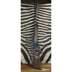 Carabine BLASER R8 Success bois grade 7 calibre 7RM canon 65 cm flûté fileté
