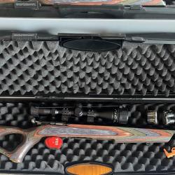 Browning T Bolt 22lr custom