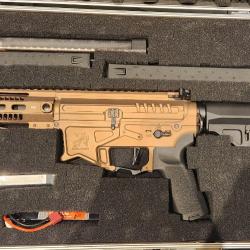 Zion Arms PW9 AEG R&D Précision modifiée