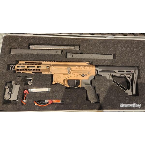 Zion Arms PW9 AEG R&D Prcision modifie