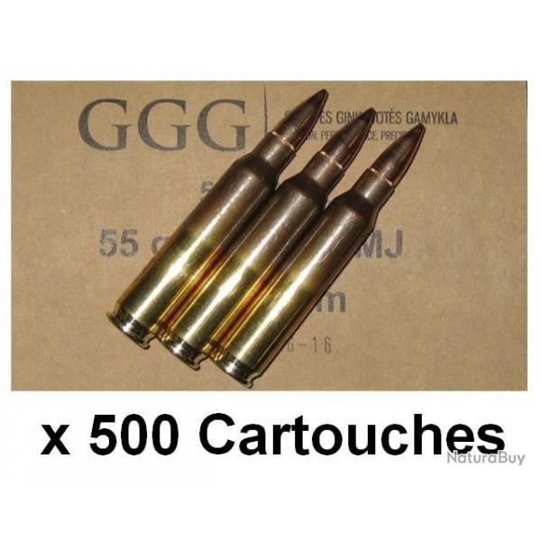 500 GGG - 223 REM. FMJ 55GR