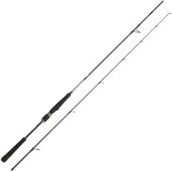 Daiwa Saltist Seabass 24 Sb 802 Hfs 244cm 14-42g