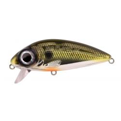 IRIS Flanky 90 - Shad